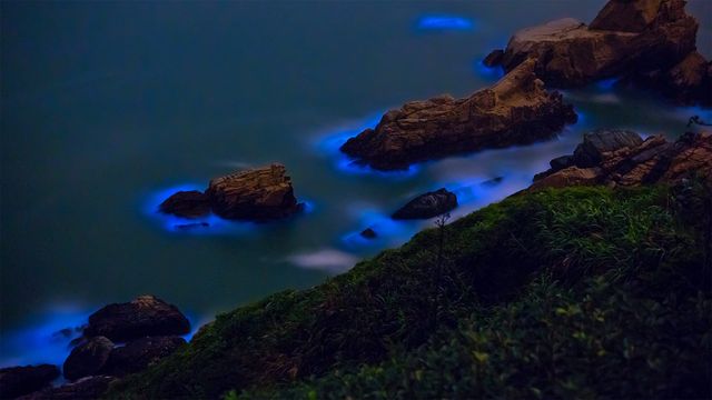 「藍眼涙」台湾, 馬祖島