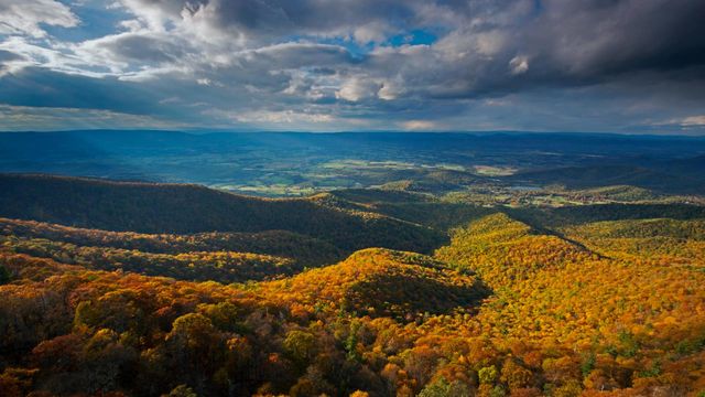 「シェナンドー国立公園」米国バージニア州, ブルーリッジ山脈