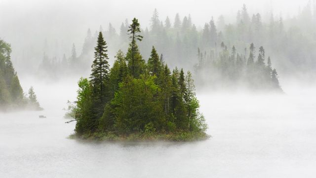 「霧のフェントン湖」カナダ, オンタリオ州