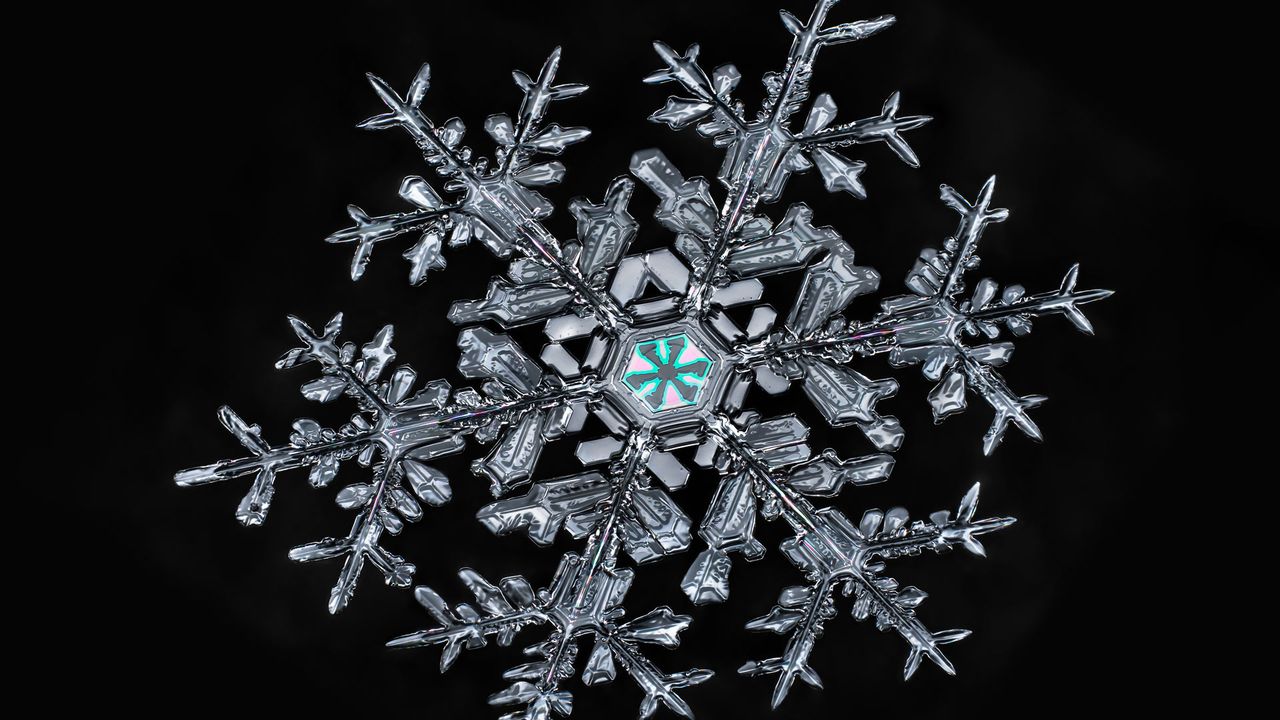 ｢雪の結晶｣ 