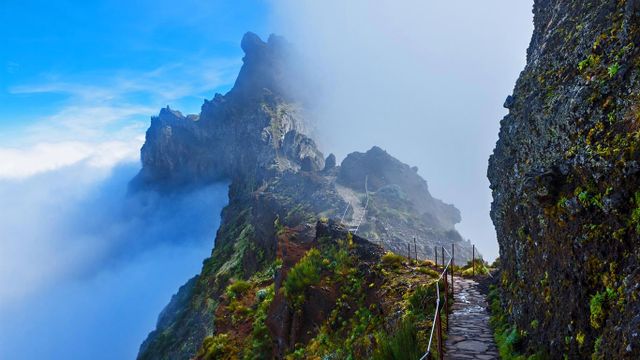 「雲の上の山道」ポルトガル, マデイラ諸島