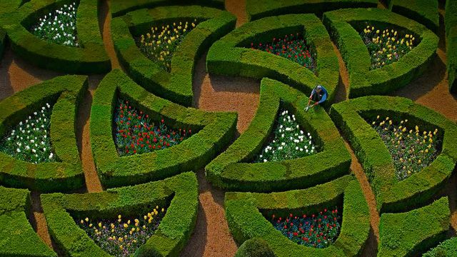 「ヴィランドリー城の庭園」フランス, ロワール渓谷