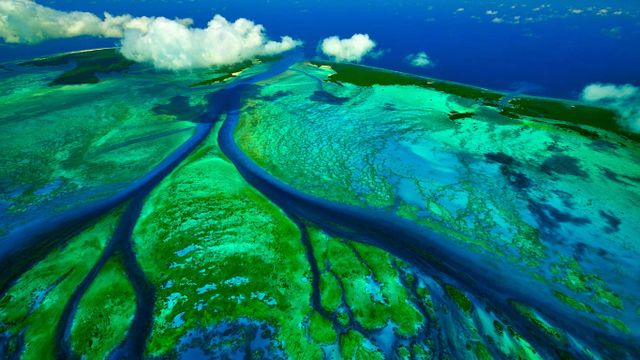 ｢アルダブラ環礁｣セーシェル 