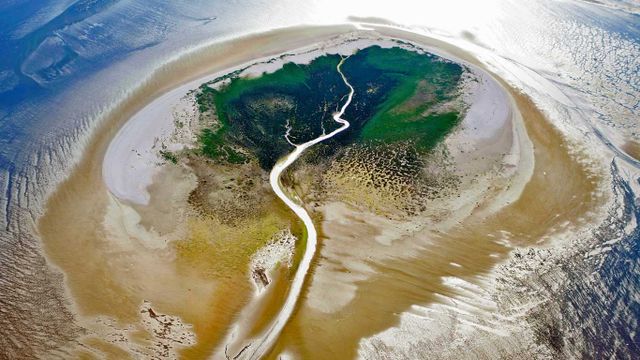 「ザイデルダイチェス島」オランダ, 西フリースラント諸島