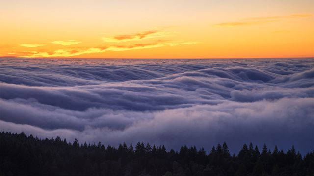 「タマルパイス山の霧」米国カリフォルニア州