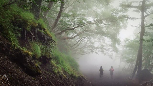 「吉田口登山道」富士山
