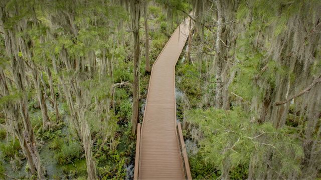 オケフェノキー湿原の遊歩道, 米国 ジョージア州