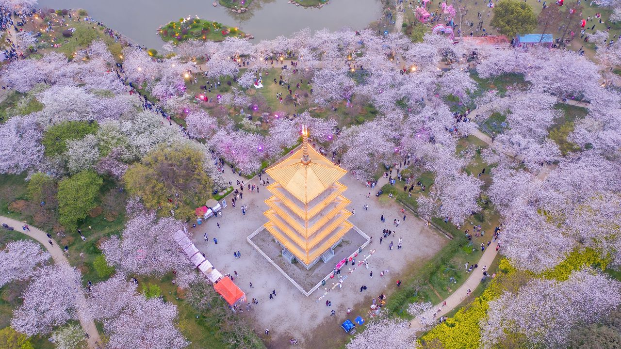 東湖桜花園, 中国