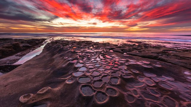 ラホヤの引き潮, 米国 カリフォルニア州