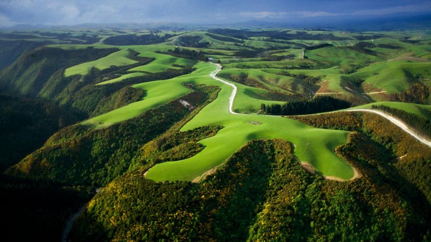 ｢山の上の牧草地｣ニュージーランド