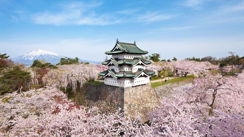 ｢弘前城｣青森, 弘前市 