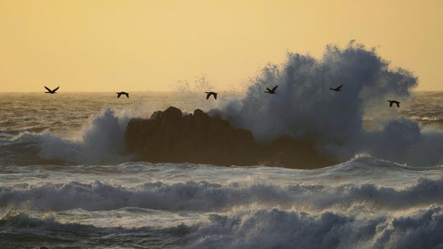 モントレー湾, 米国 カリフォルニア州