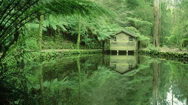 ｢アルフレッド・ニコラス記念庭園｣オーストラリア, ビクトリア州
