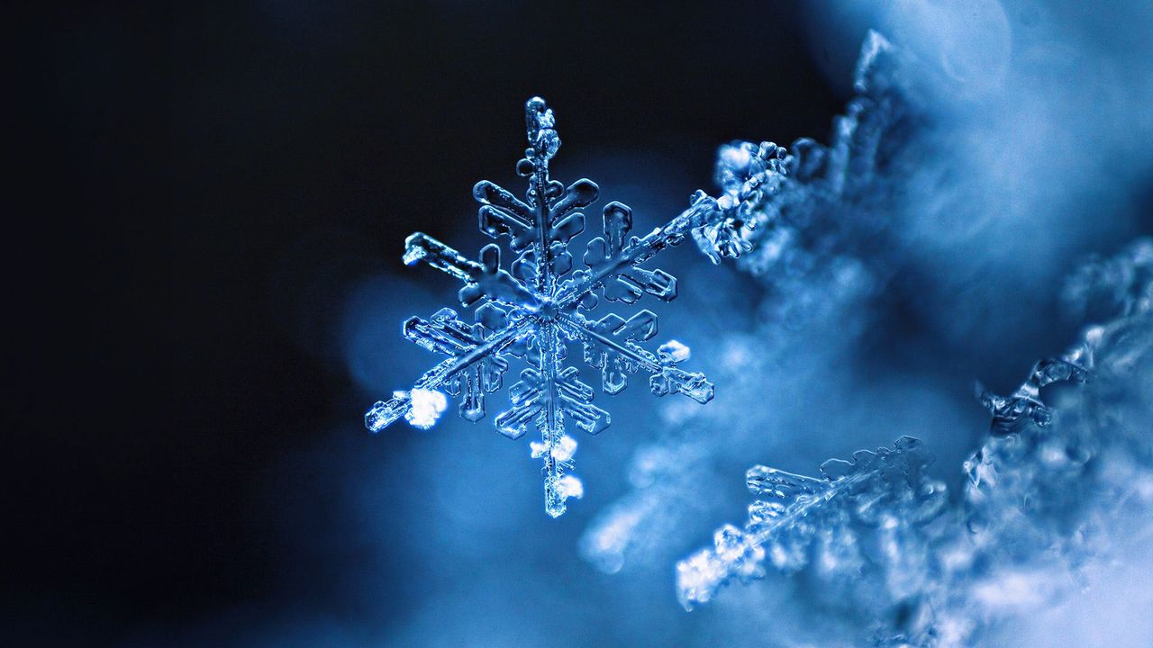 ｢雪の結晶｣