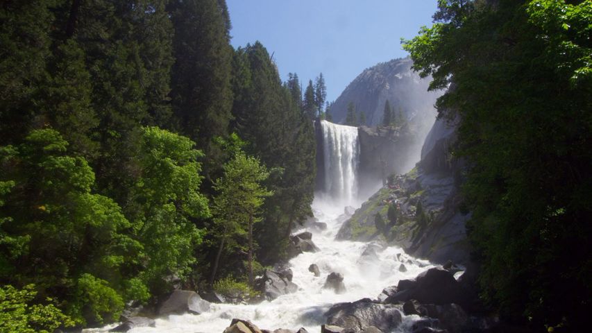 木, 屋外, 自然, 森林, 山, 水, 滝