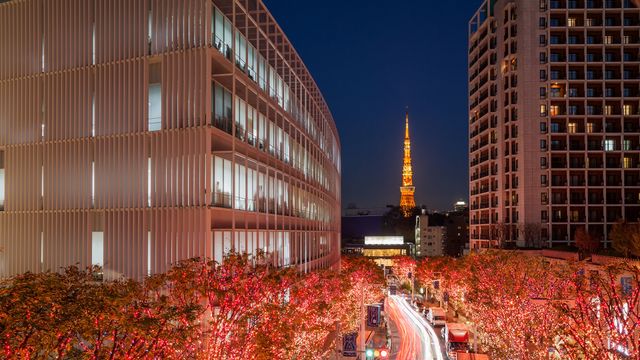 けやき坂のイルミネーション, 東京