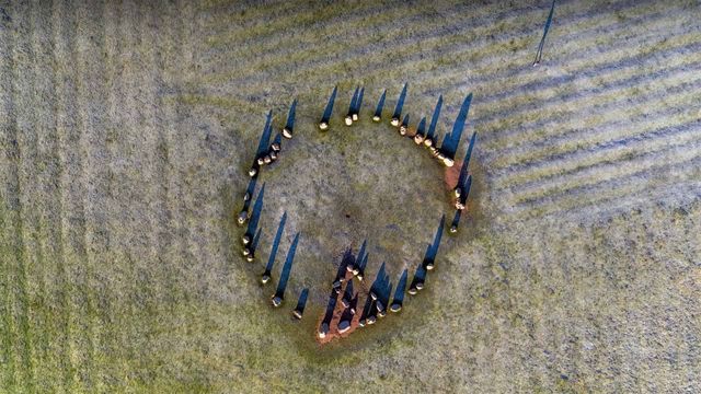 「キャッスルリグのストーンサークル」イギリス, カンブリア州湖水地方