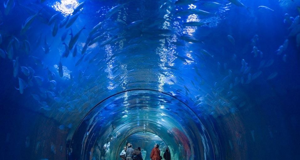｢海洋博物館｣スペイン, バレンシア