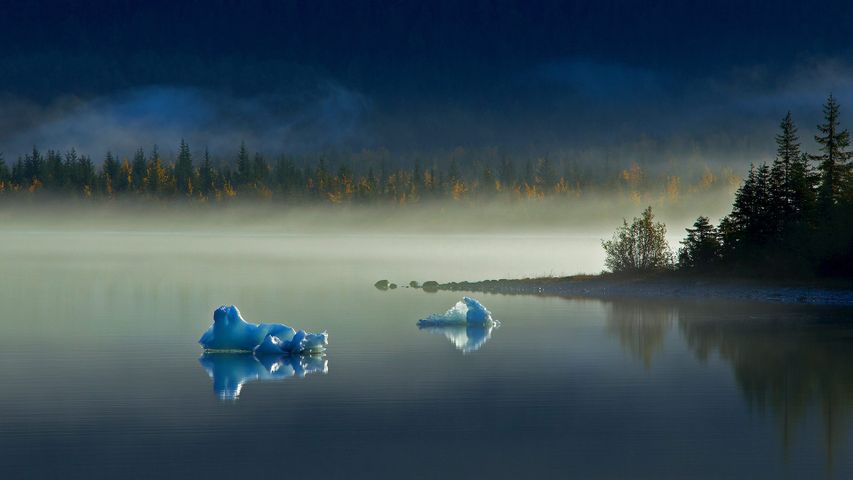 ｢メンデンホール湖｣米国アラスカ州, ジュノー