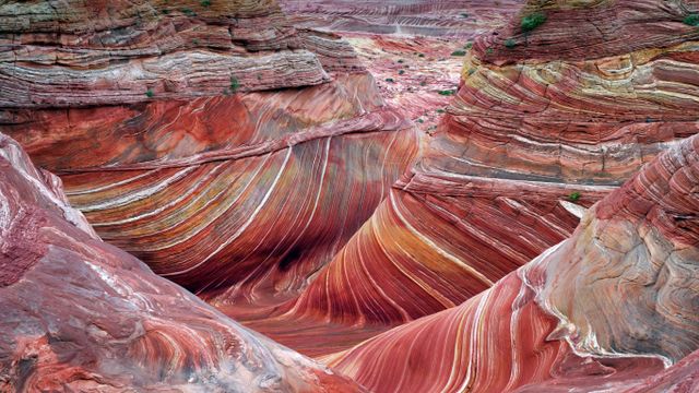 ザ・ウェーブ, 米国 アリゾナ州