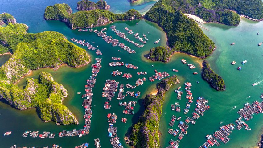 魚が恐れる村