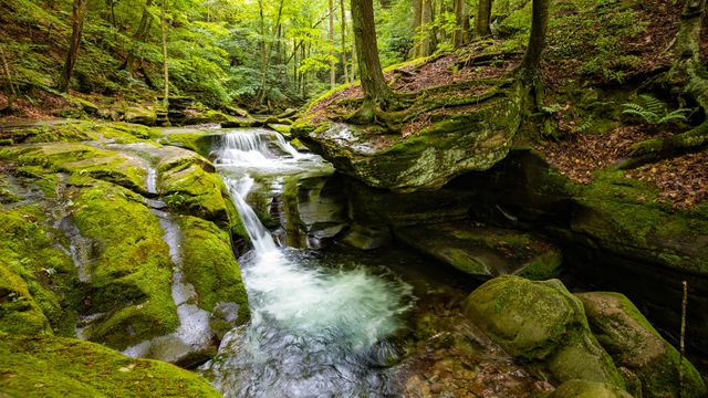 キャッツキル山地, 米国 ニューヨーク州