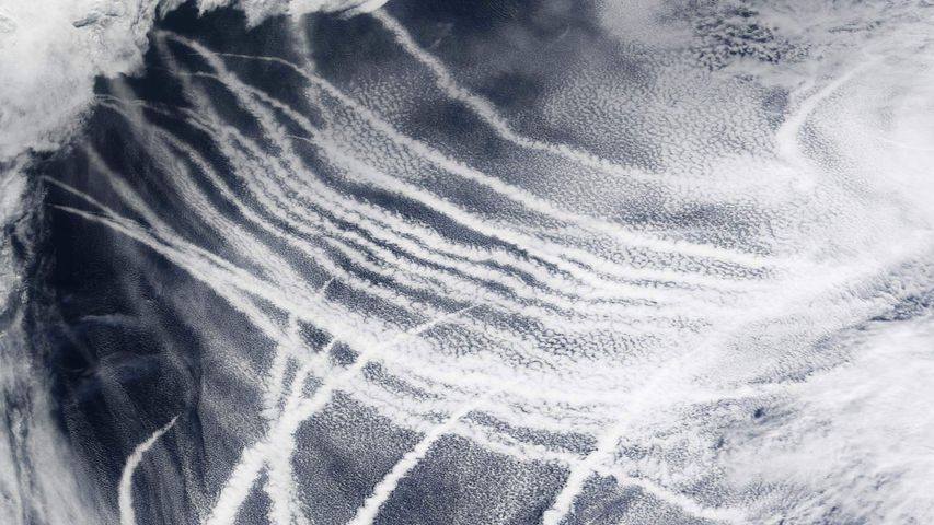 ｢空から見た航跡雲｣太平洋 