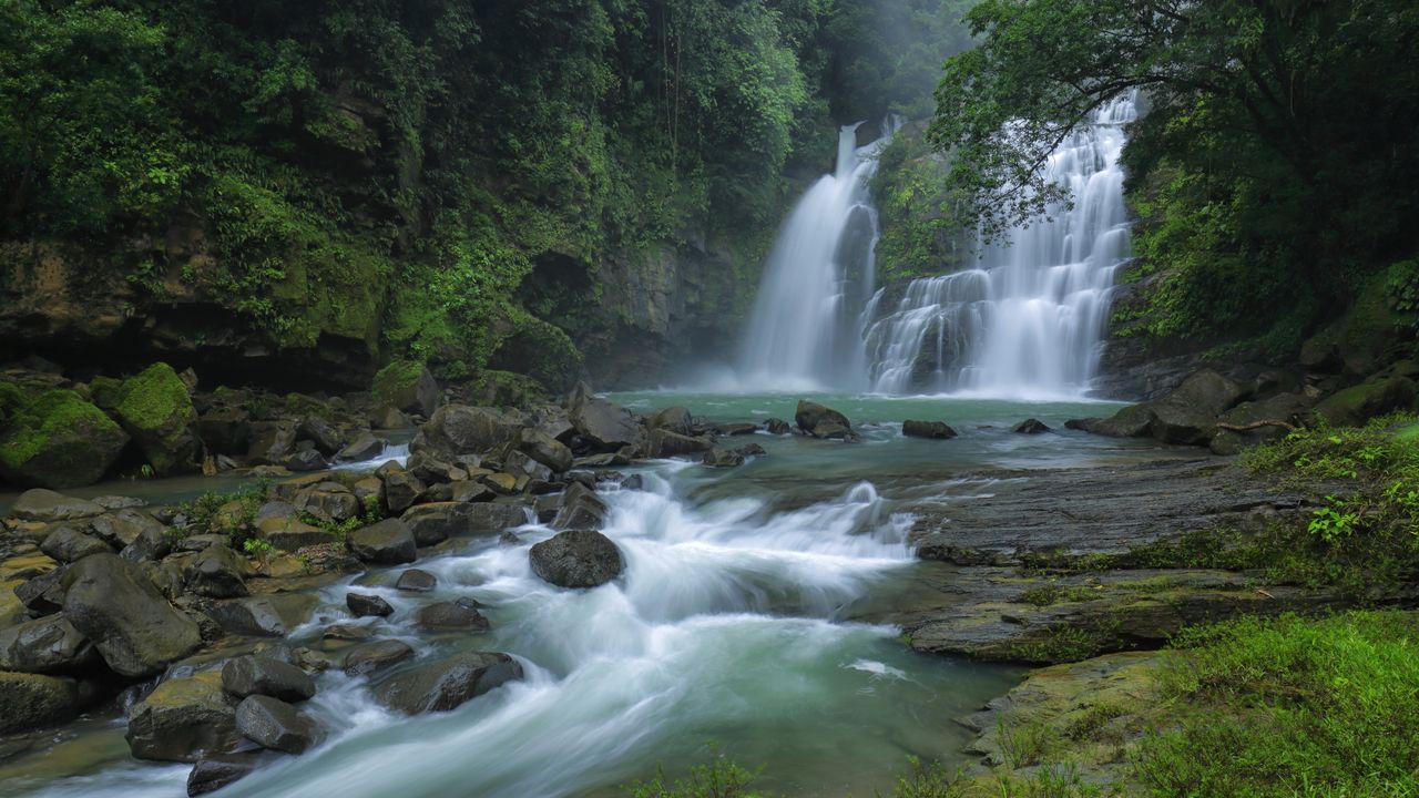 森の中の滝 - Windows スポットライト壁紙 | 高画質4Kダウンロード