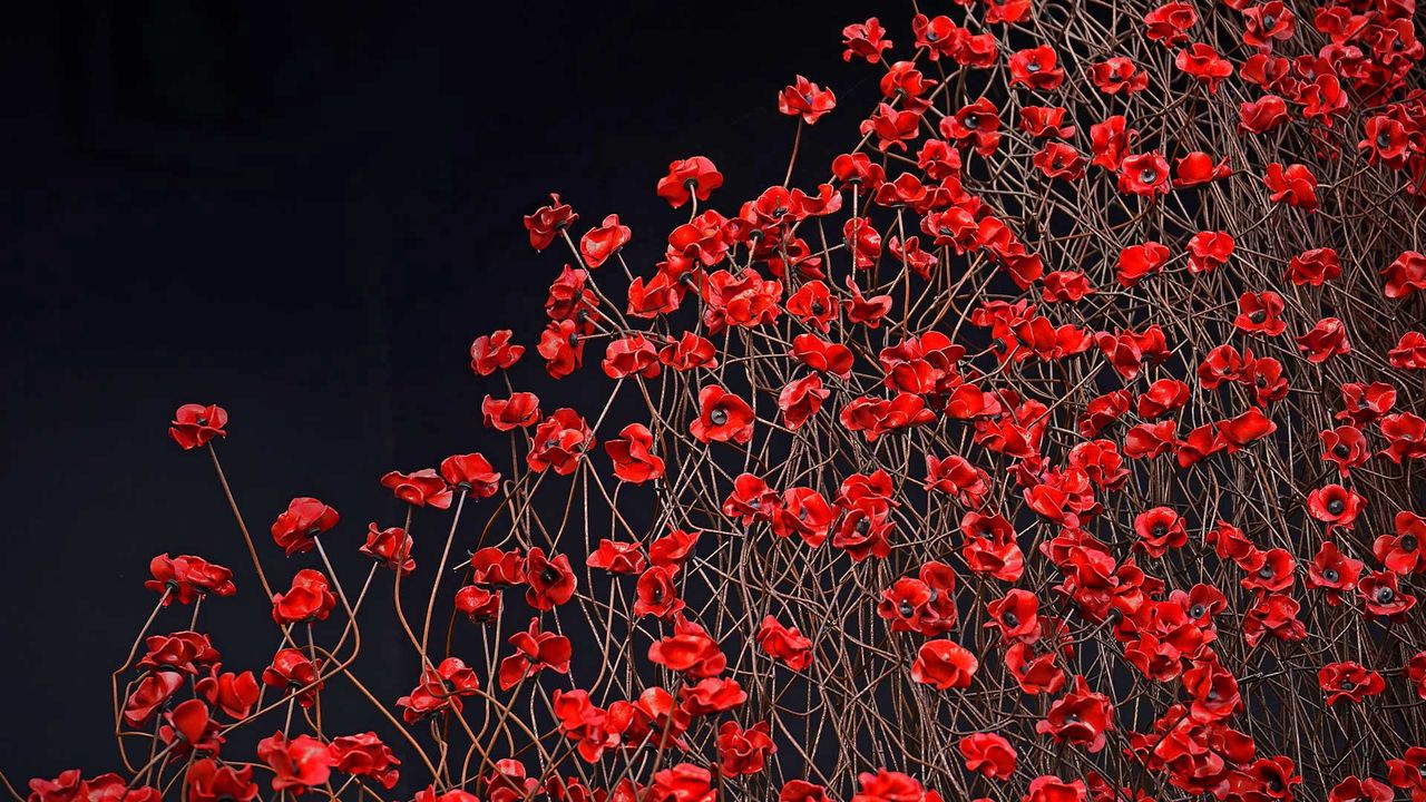 ｢Blood Swept Lands and Seas of Red｣イギリス, マンチェスター