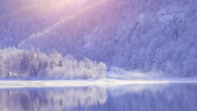 ヒンターゼー湖の冬の風景