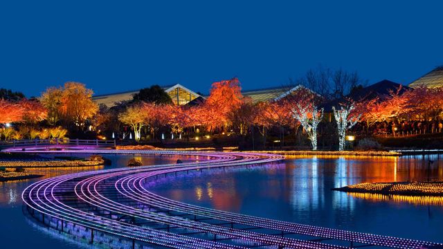 「なばなの里のイルミネーション」三重県, 桑名市