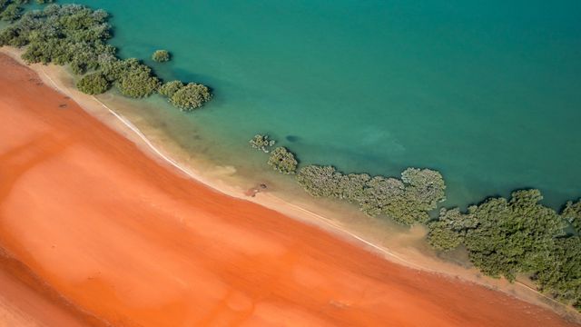 漂流先はブルーム