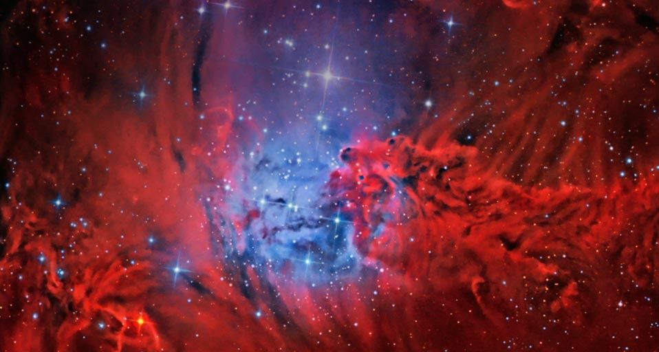 ｢狐の毛皮星雲｣いっかくじゅう座