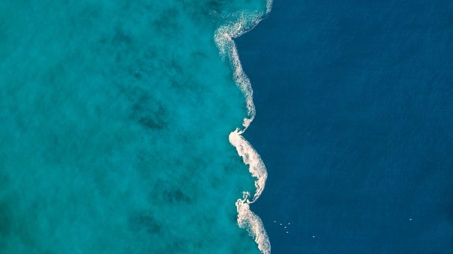 ｢タール川の汽水域｣スペイン, レスタルティット 