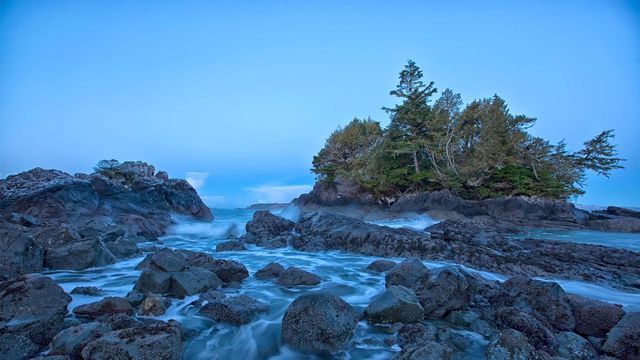 「トフィーノの浜辺」カナダ, ブリティッシュコロンビア州