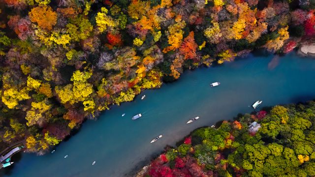 大堰川の紅葉, 京都 嵐山