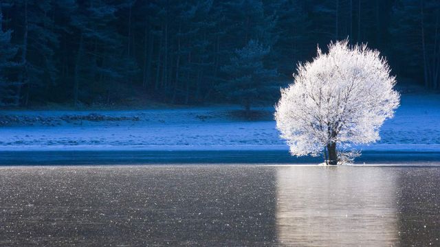「湖と霧氷」フランス, プロヴァンス=アルプ=コート・ダジュール地域圏