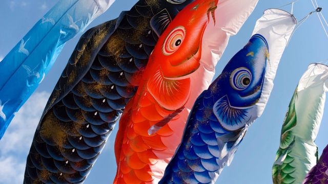 「こいのぼり」