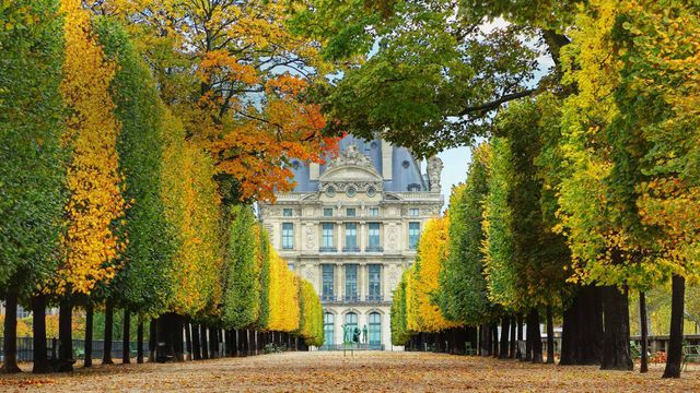 「テュイルリー庭園の並木道」フランス, パリ