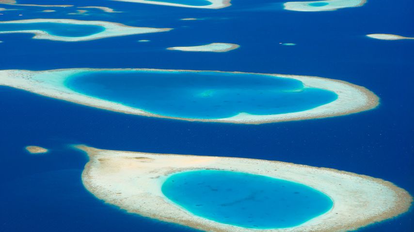 ｢モルディブの環礁｣モルディブ