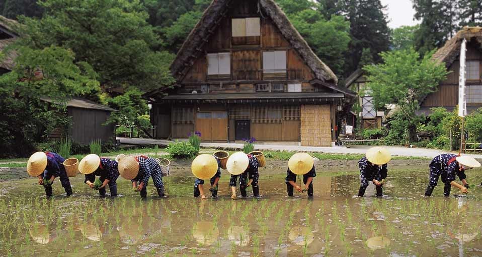 ｢白川郷田植え祭り｣岐阜県, 飛騨市