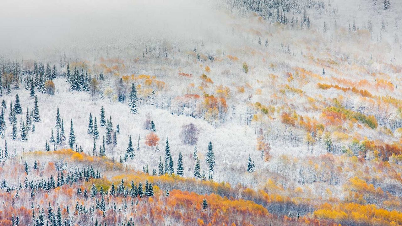 ｢フェアバンクスの雪｣アメリカ, アラスカ  