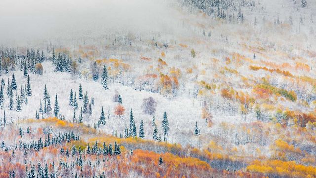 「フェアバンクスの雪」アメリカ, アラスカ