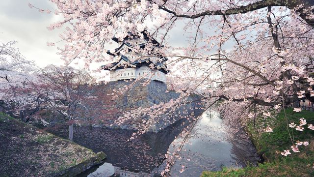弘前城, 青森県 弘前市