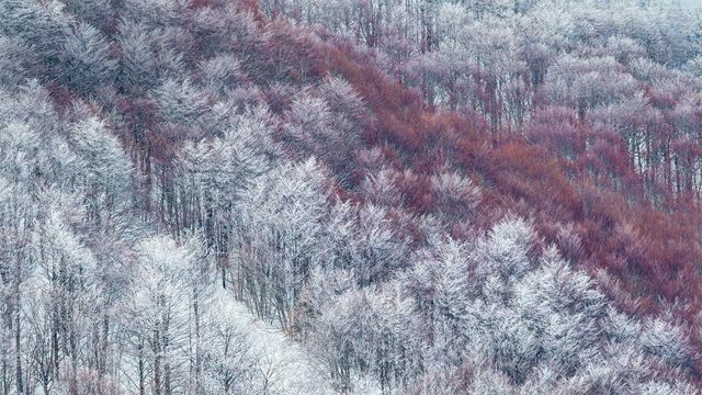 「ヴァッレ・チェルヴァーラ」イタリア, アブルッツォ州