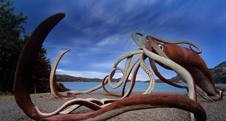 ｢巨大イカのモニュメント｣カナダ,ニューファンドランド・ラブラドール州, グローバー港 ©