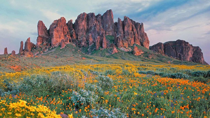 ｢ロストダッチマン州立公園｣米国アリゾナ州