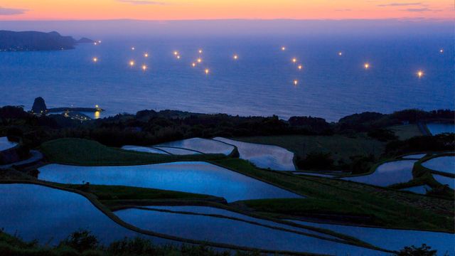 「東後畑の棚田」山口, 長門市