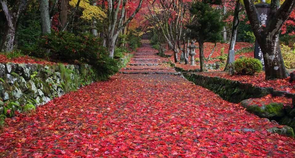 ｢鶏足寺｣滋賀県, 長浜