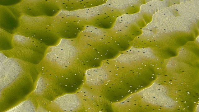 「ソンム湾」フランス